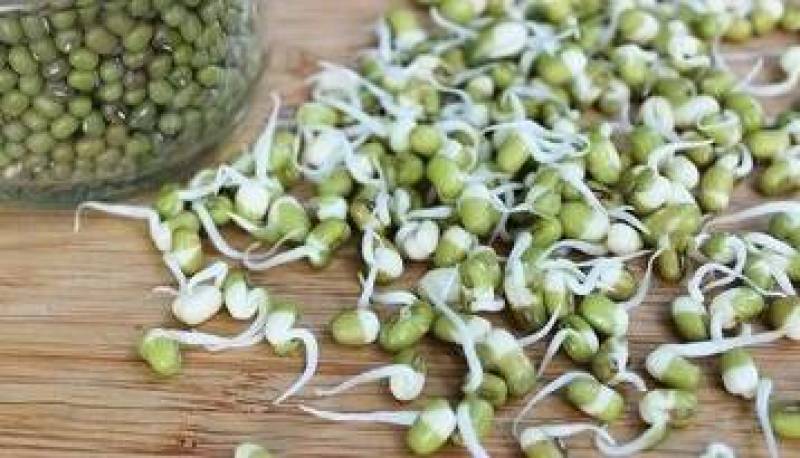 این گیاه قاتل چاقی است